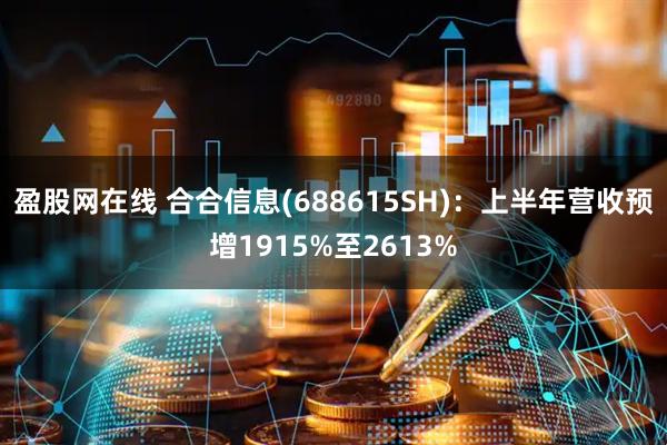 盈股网在线 合合信息(688615SH)：上半年营收预增1915%至2613%